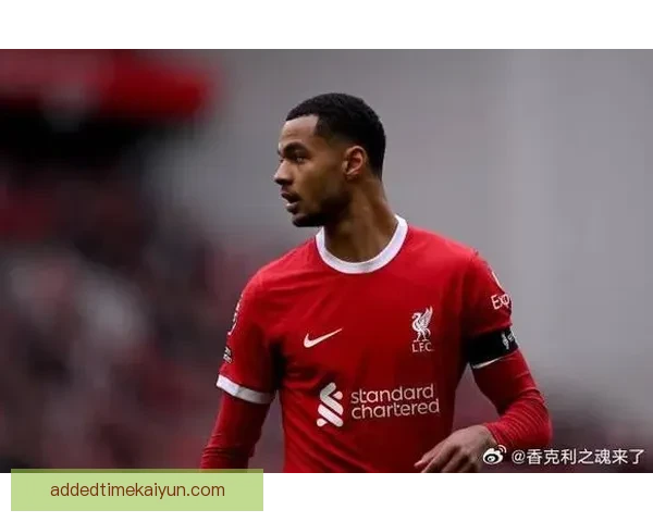 荷兰加克波状态回暖 助球队在欧预赛中持续提升竞争力